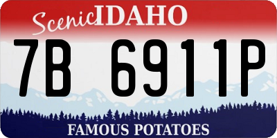 ID license plate 7B6911P