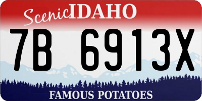 ID license plate 7B6913X