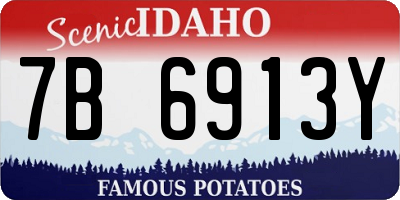 ID license plate 7B6913Y
