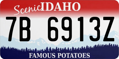 ID license plate 7B6913Z