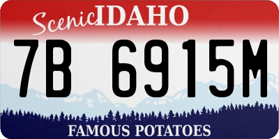 ID license plate 7B6915M
