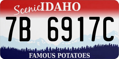 ID license plate 7B6917C