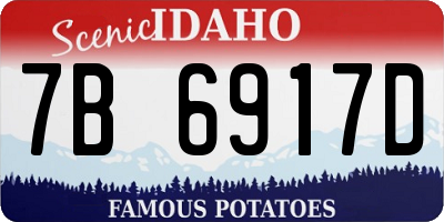 ID license plate 7B6917D