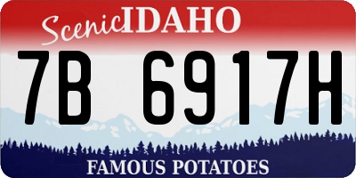 ID license plate 7B6917H