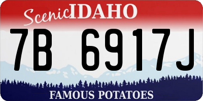ID license plate 7B6917J