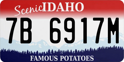 ID license plate 7B6917M