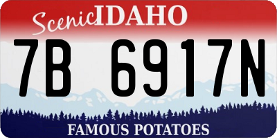 ID license plate 7B6917N