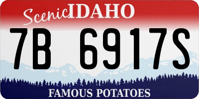 ID license plate 7B6917S