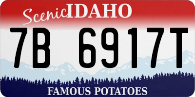 ID license plate 7B6917T