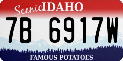 ID license plate 7B6917W