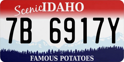 ID license plate 7B6917Y