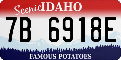 ID license plate 7B6918E