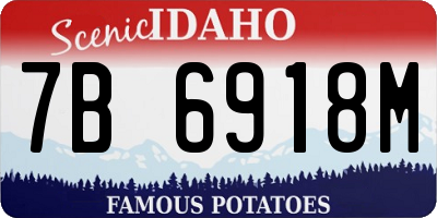 ID license plate 7B6918M