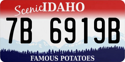 ID license plate 7B6919B