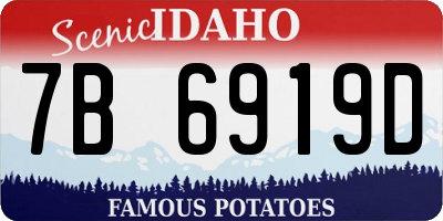 ID license plate 7B6919D