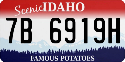 ID license plate 7B6919H