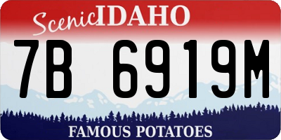 ID license plate 7B6919M