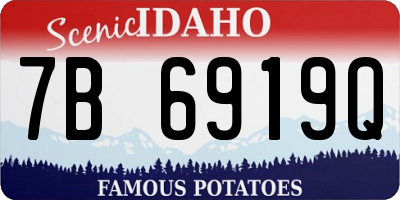 ID license plate 7B6919Q