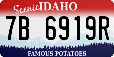 ID license plate 7B6919R