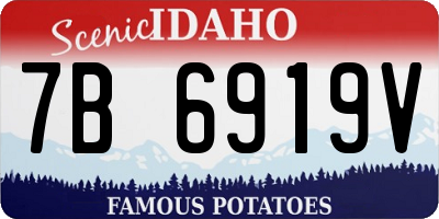 ID license plate 7B6919V