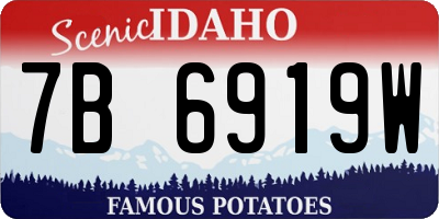 ID license plate 7B6919W