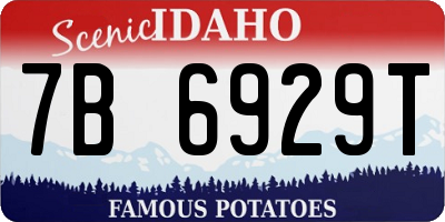 ID license plate 7B6929T