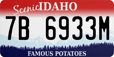 ID license plate 7B6933M