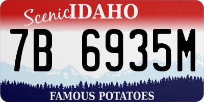 ID license plate 7B6935M