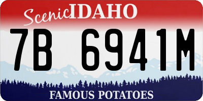 ID license plate 7B6941M