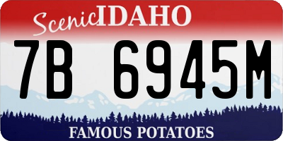 ID license plate 7B6945M