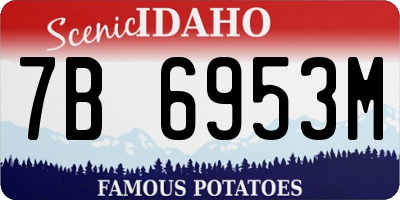 ID license plate 7B6953M