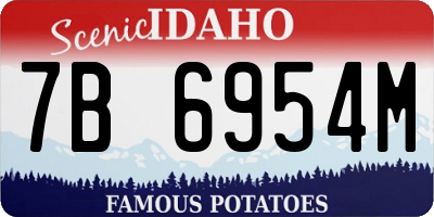 ID license plate 7B6954M