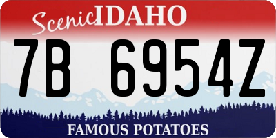 ID license plate 7B6954Z