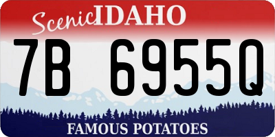 ID license plate 7B6955Q