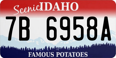 ID license plate 7B6958A