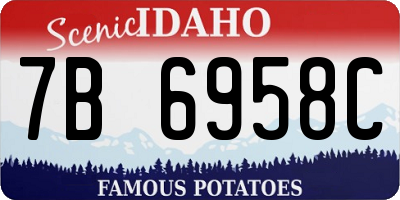 ID license plate 7B6958C