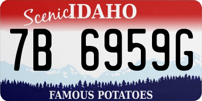 ID license plate 7B6959G