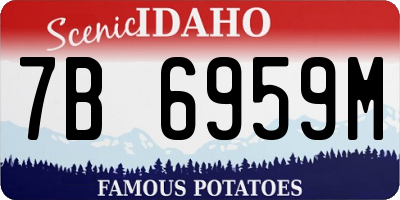 ID license plate 7B6959M
