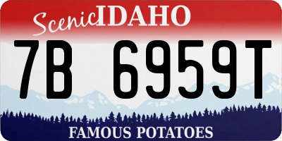 ID license plate 7B6959T