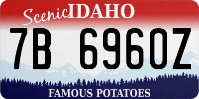ID license plate 7B6960Z