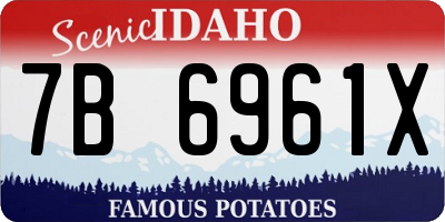 ID license plate 7B6961X