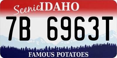 ID license plate 7B6963T