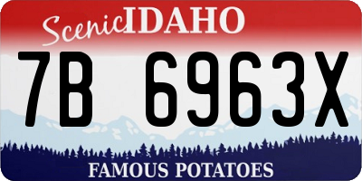 ID license plate 7B6963X