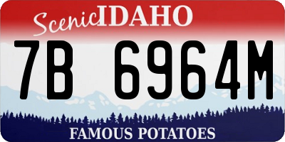 ID license plate 7B6964M