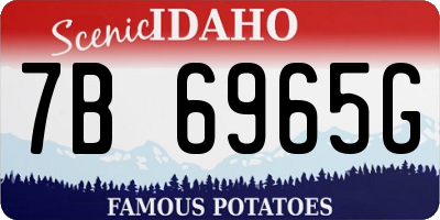 ID license plate 7B6965G