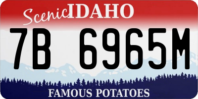 ID license plate 7B6965M