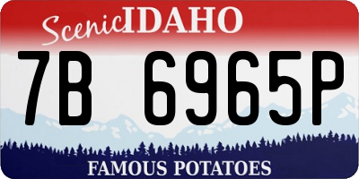 ID license plate 7B6965P