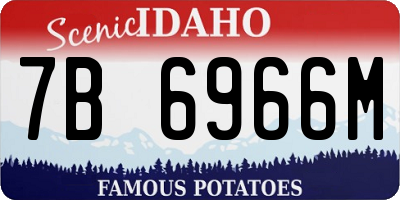 ID license plate 7B6966M