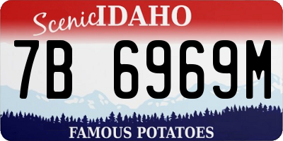 ID license plate 7B6969M
