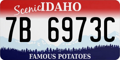 ID license plate 7B6973C